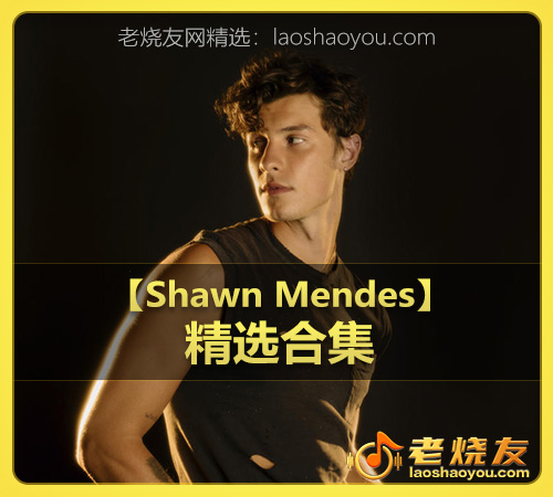 【Shawn Mendes】wav版
